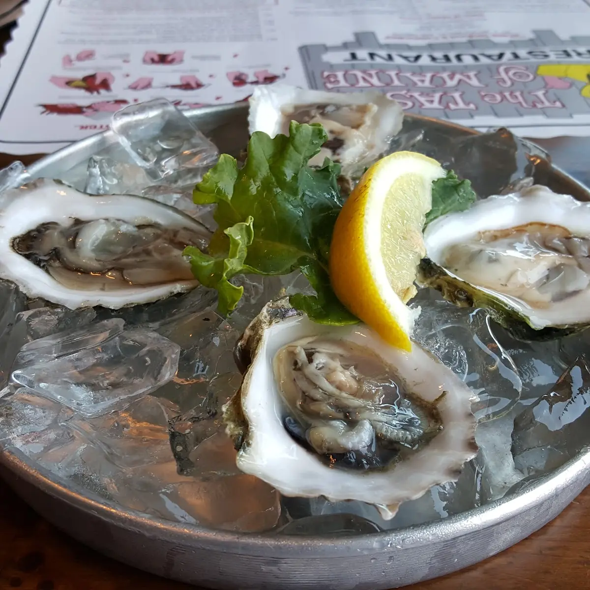Oysters