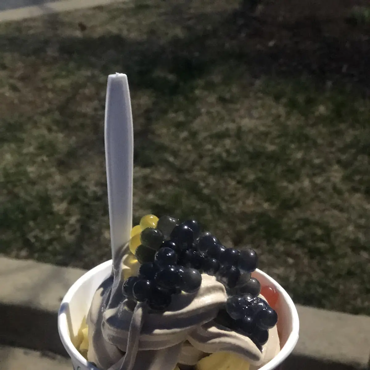 Frozen Yogurt