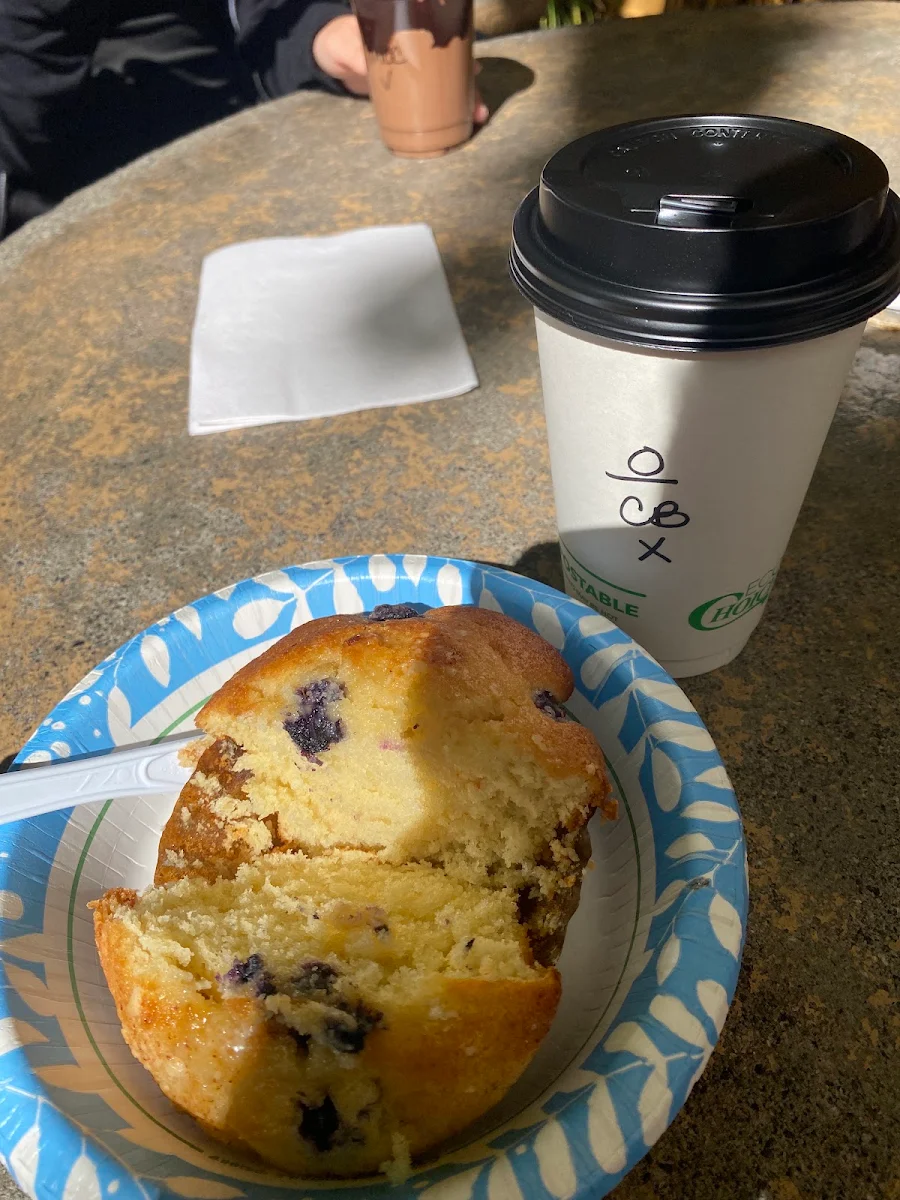 Blueberry Muffin