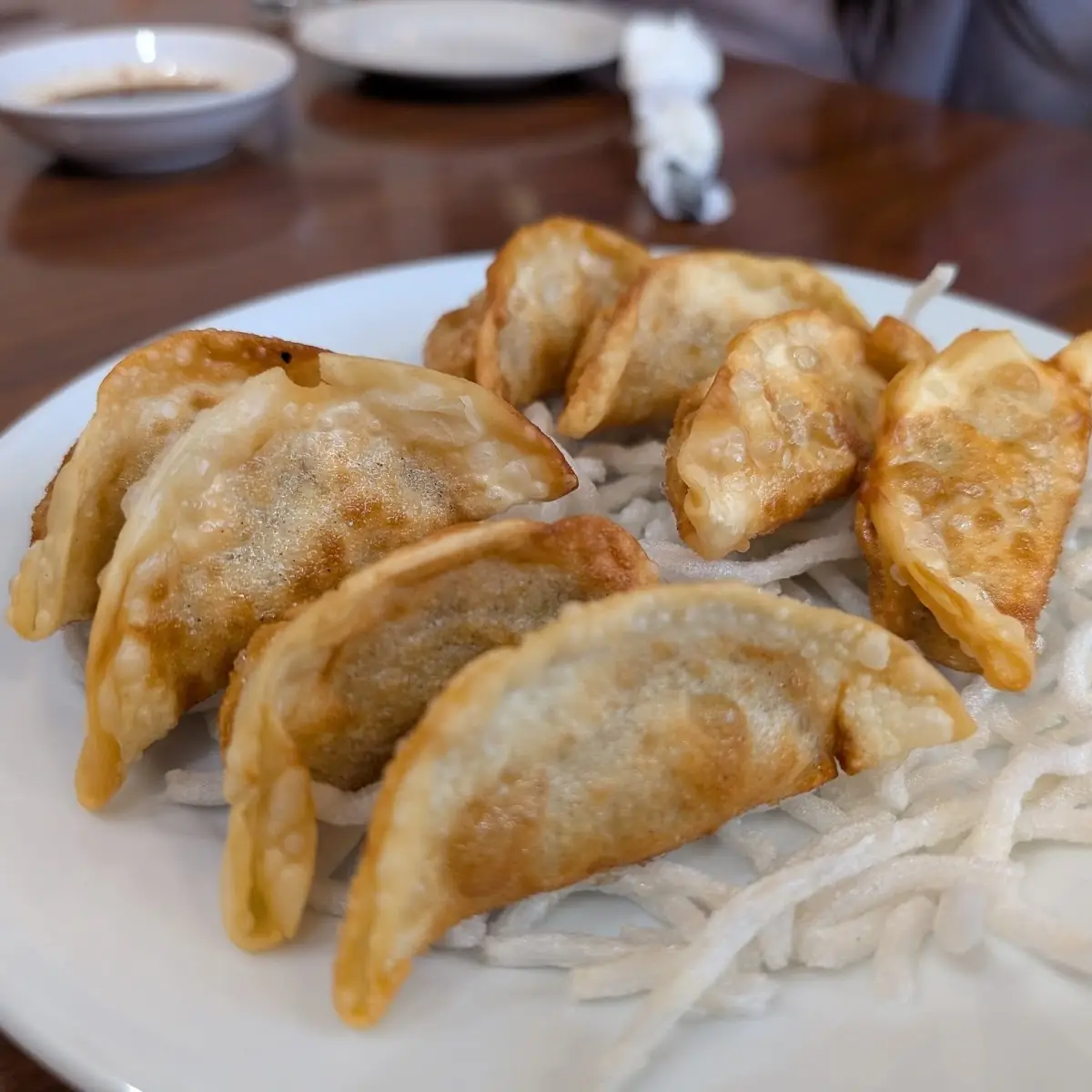 Fried Dumpling