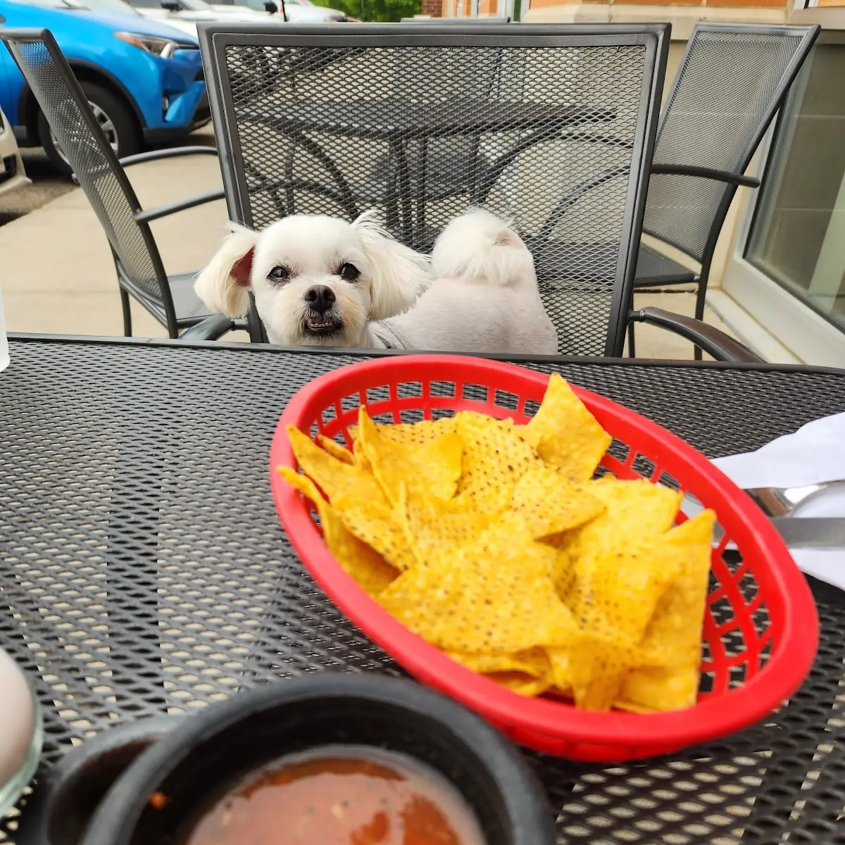 Chips and Salsa Dine-In