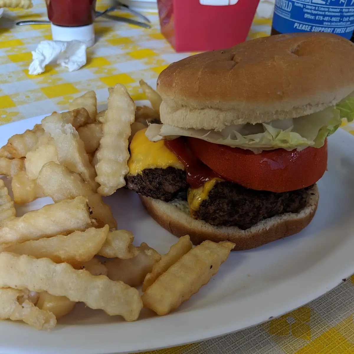 Cheese Burger and Fries