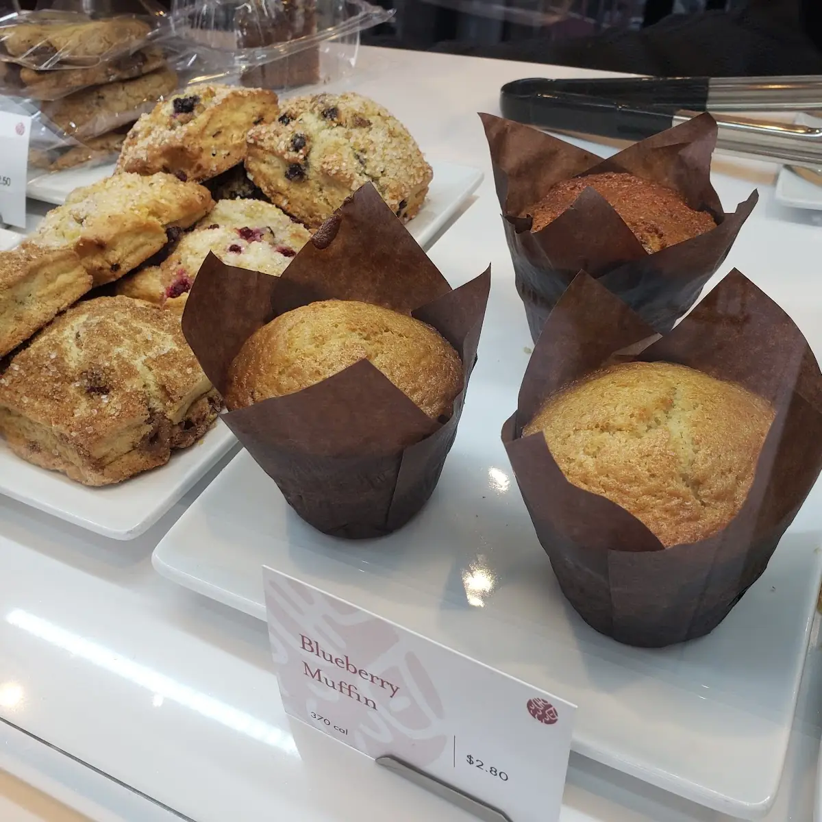 Blueberry Muffin & Scones