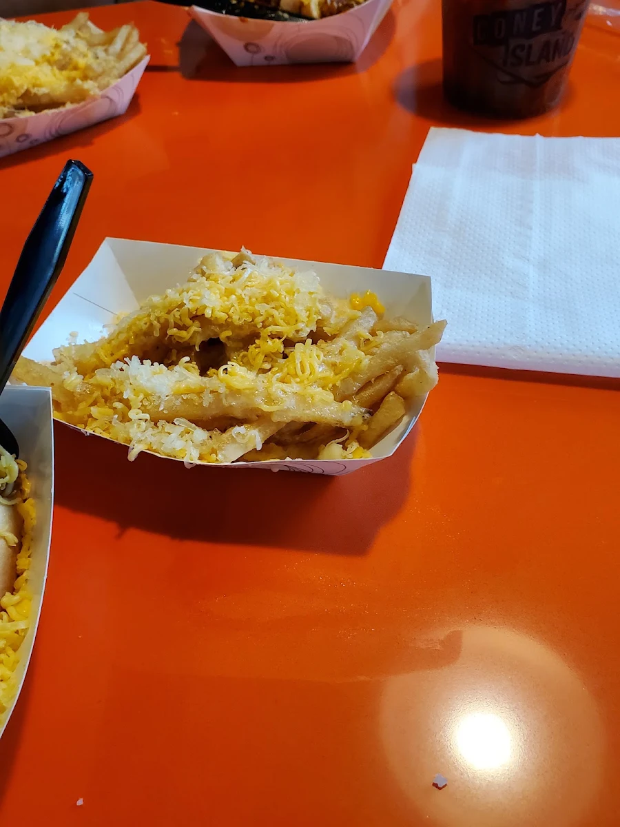 Cheese Fries