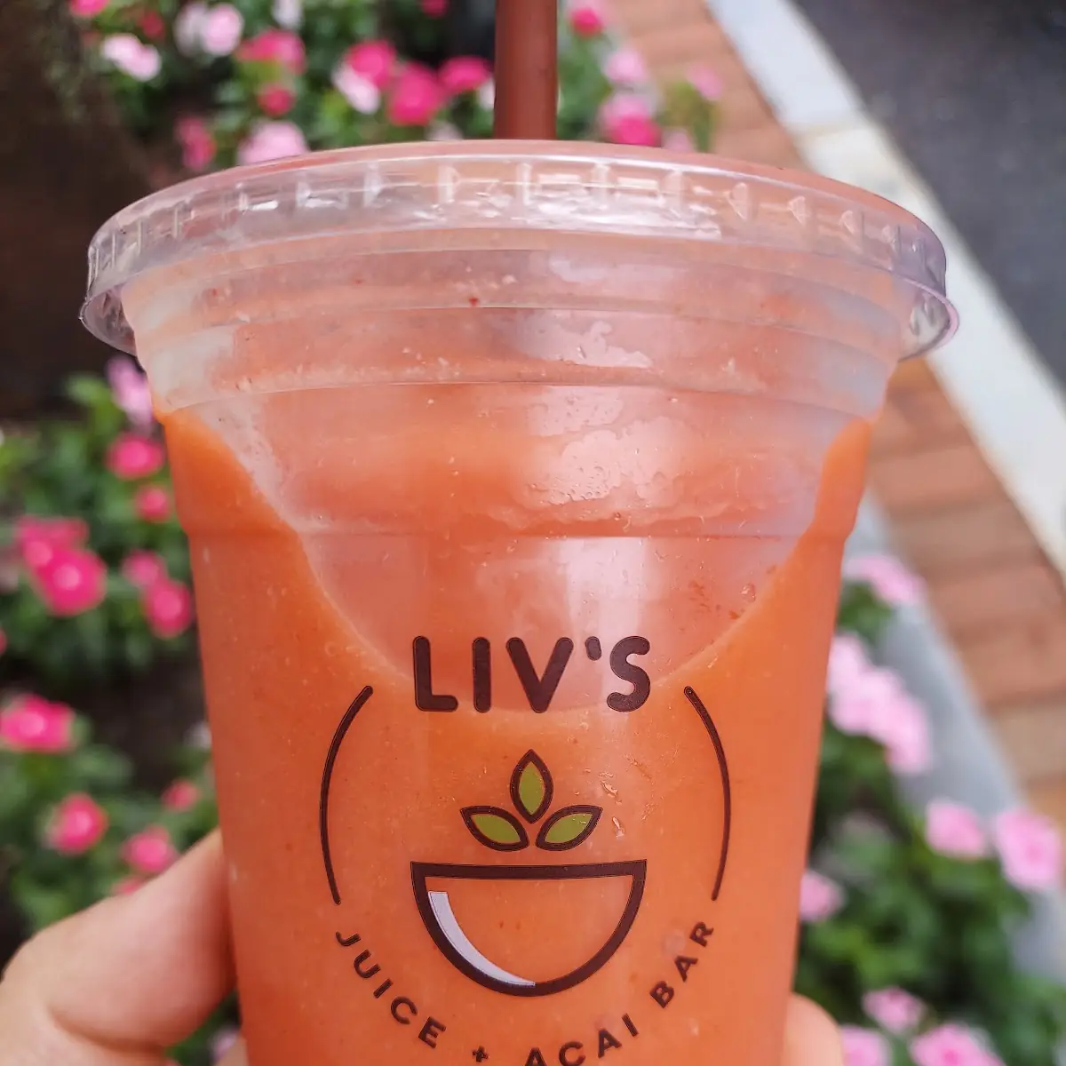Watermelon Lime Smoothie