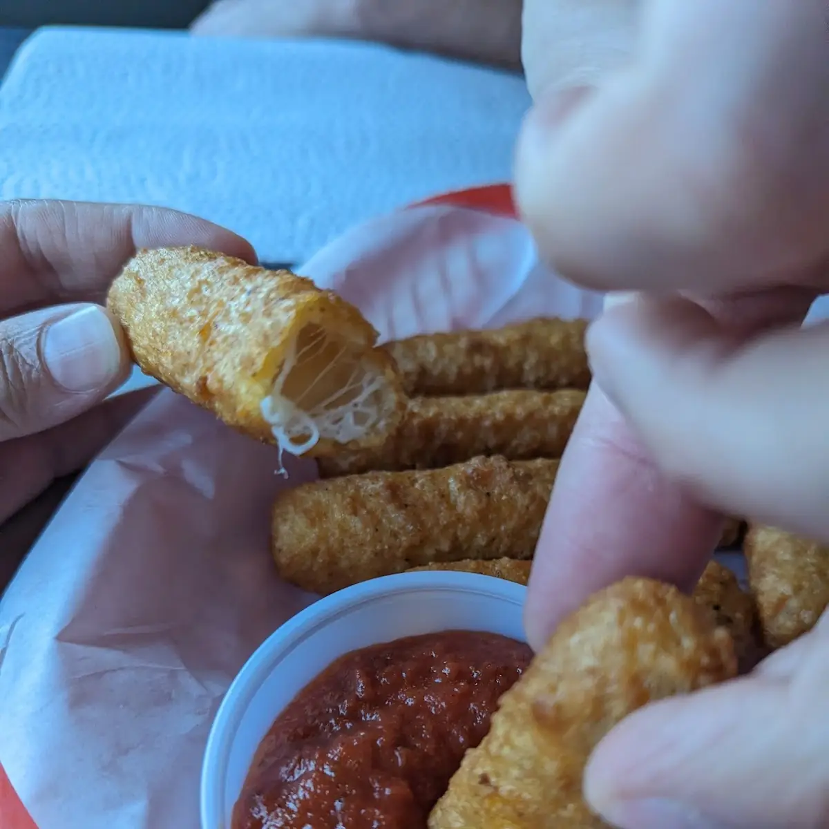 Mozzarella Cheese Sticks