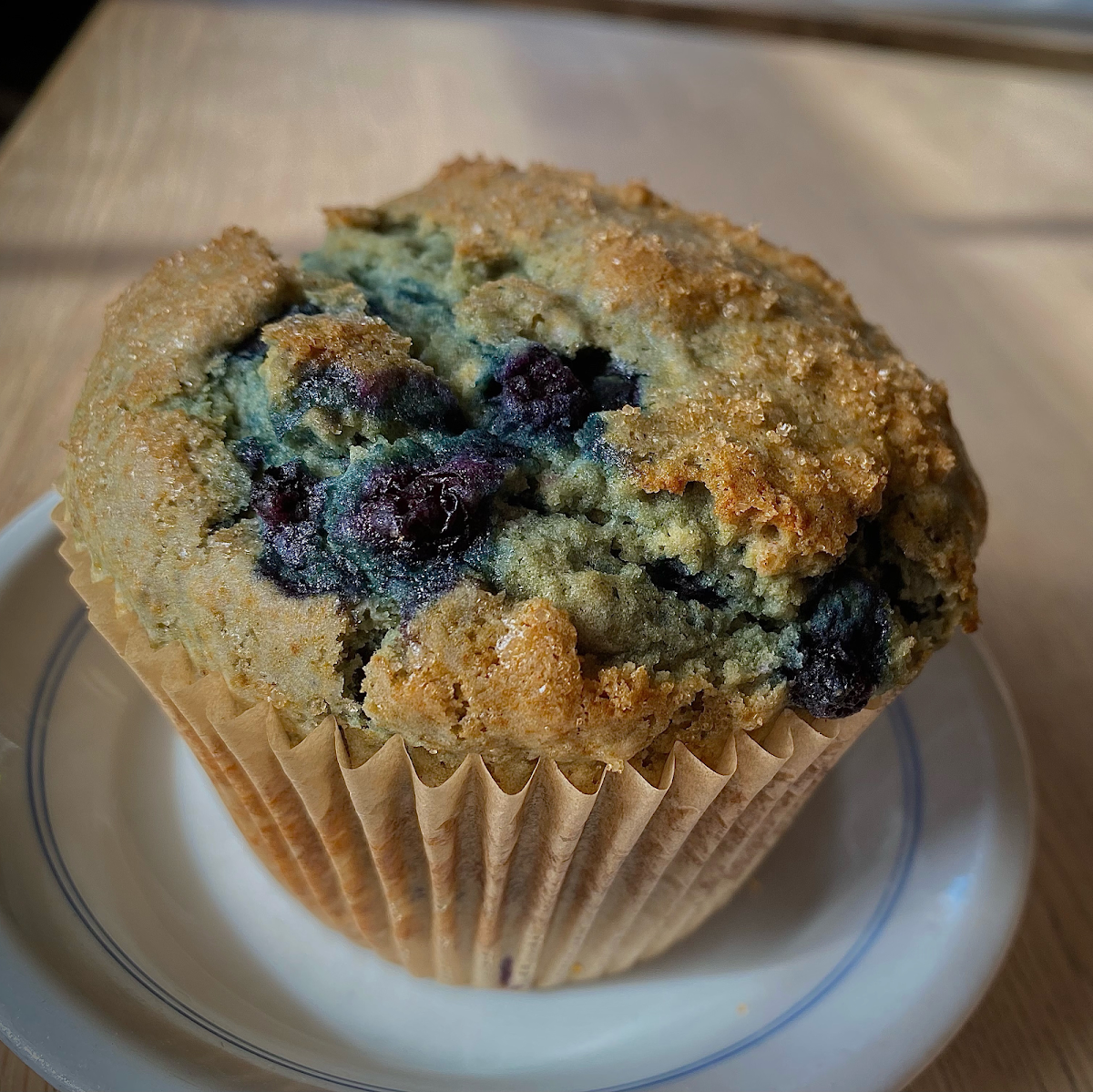 Blueberry Muffin