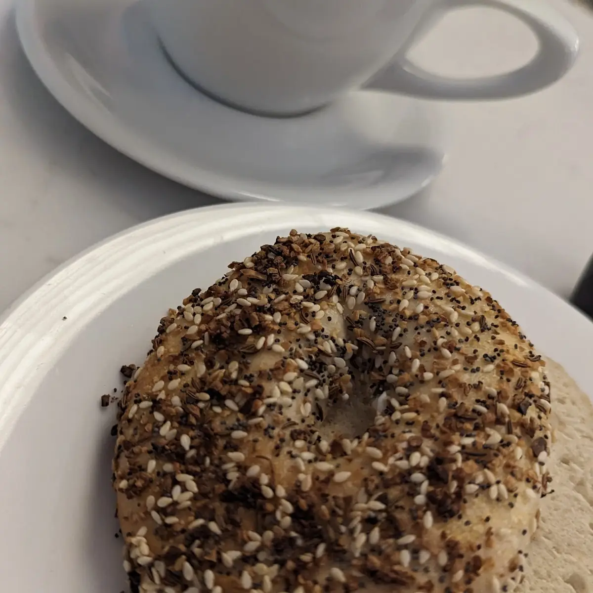 Everything Bagel Cream Cheese