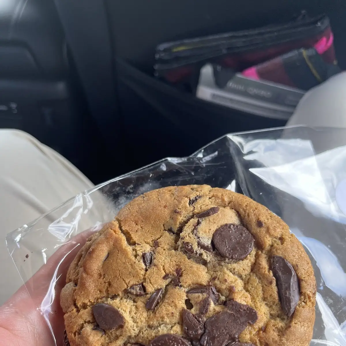 Chocolate Chip