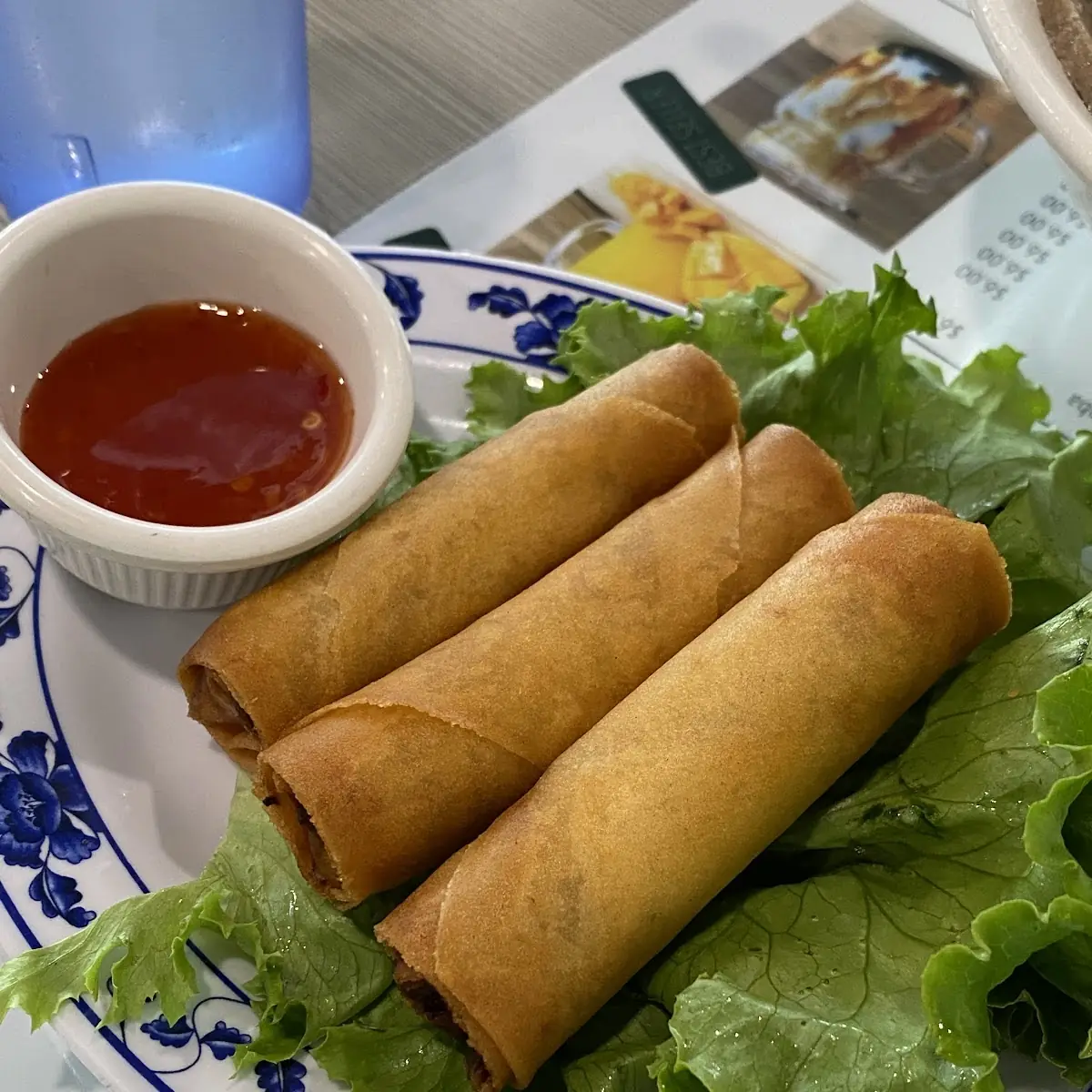 Vietnamese Spring Roll