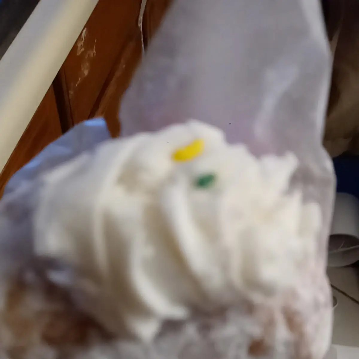 Vanilla Cream-Filled Donut