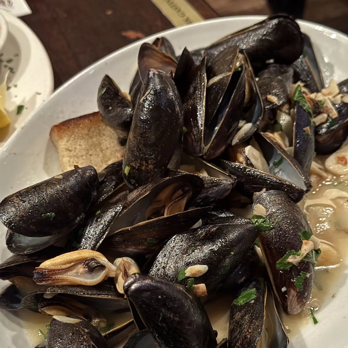 Mussels in White
