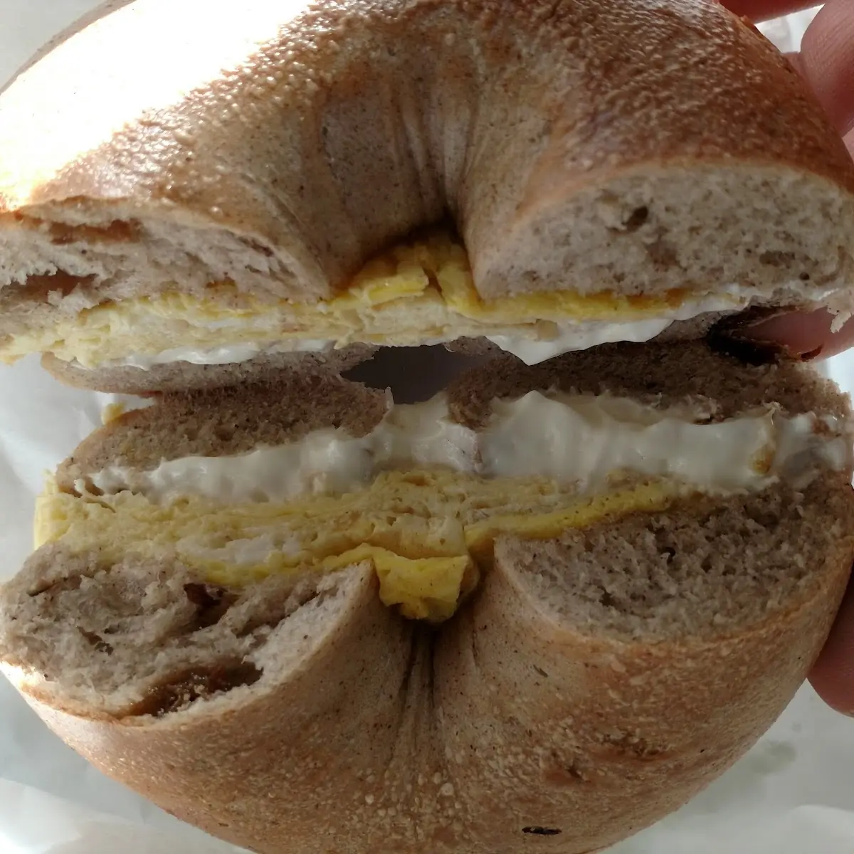 Cinnamon Raisin Bagel with One Hot Scrambled Egg and Melted Cream Cheese