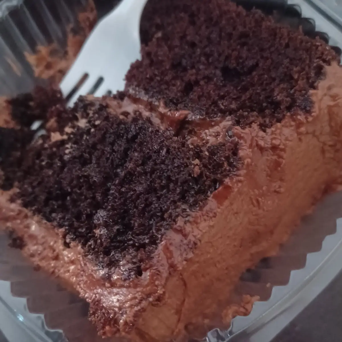 Double Chocolate Cake