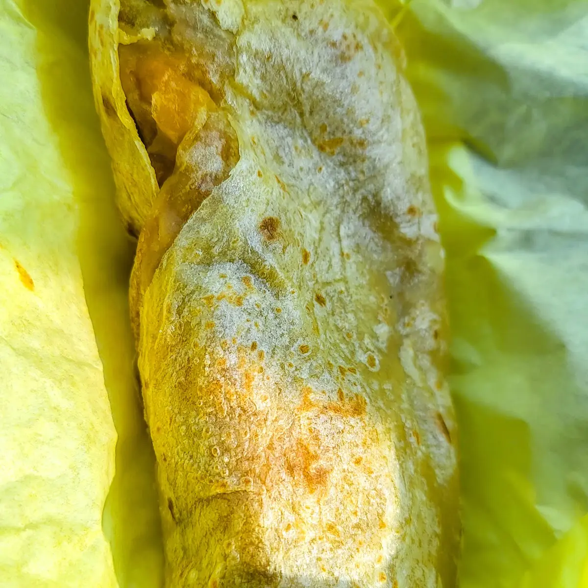 Bean and Cheese Burrito