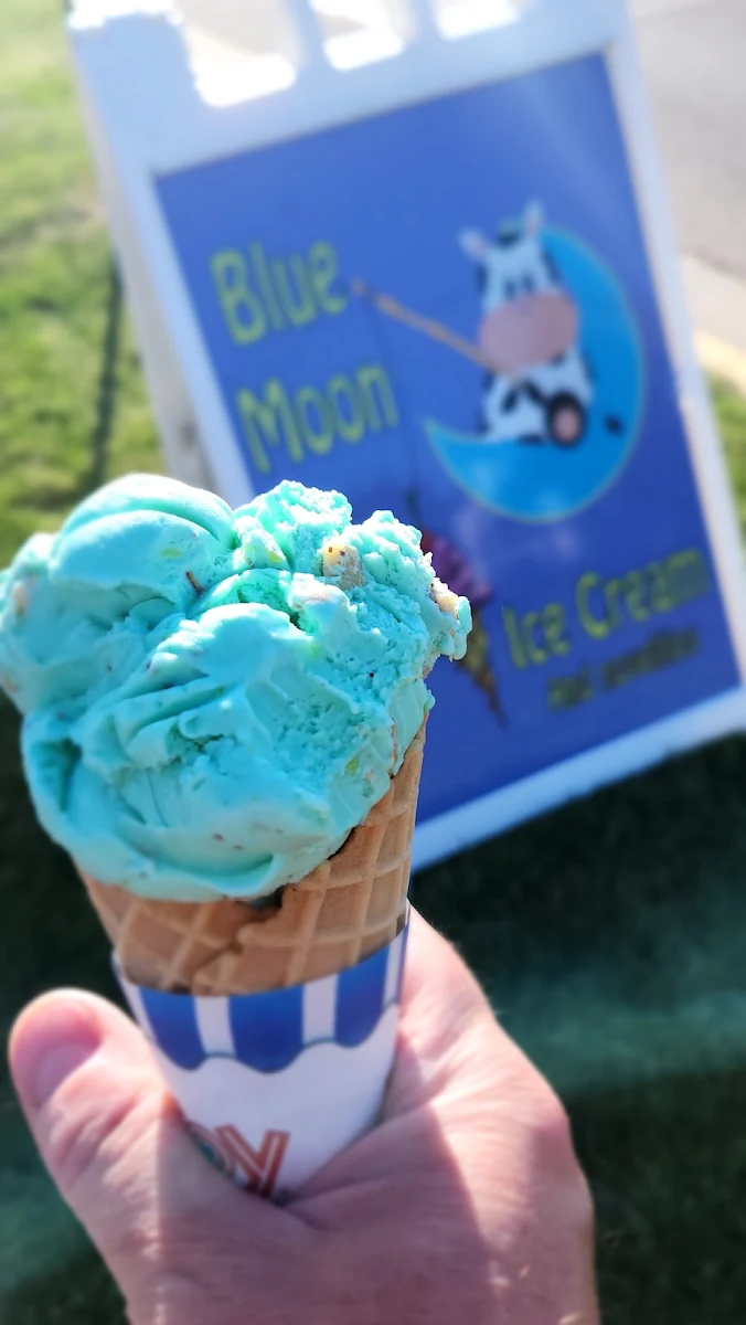 Pistachio Waffle Cone-One Scoop