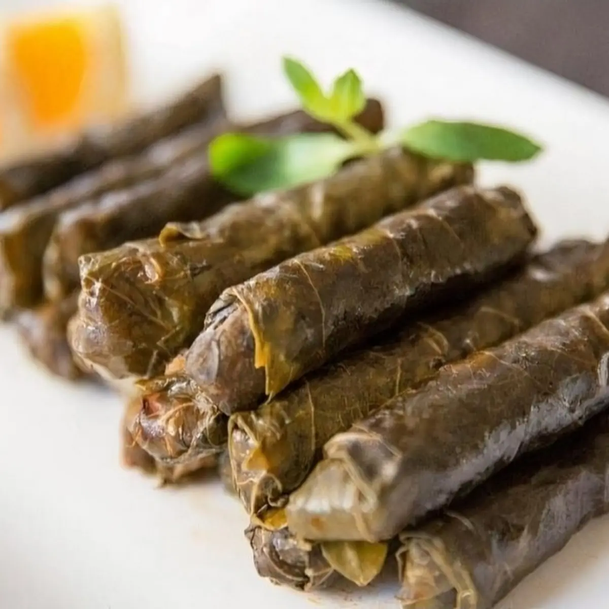 Stuffed Grape Leaves