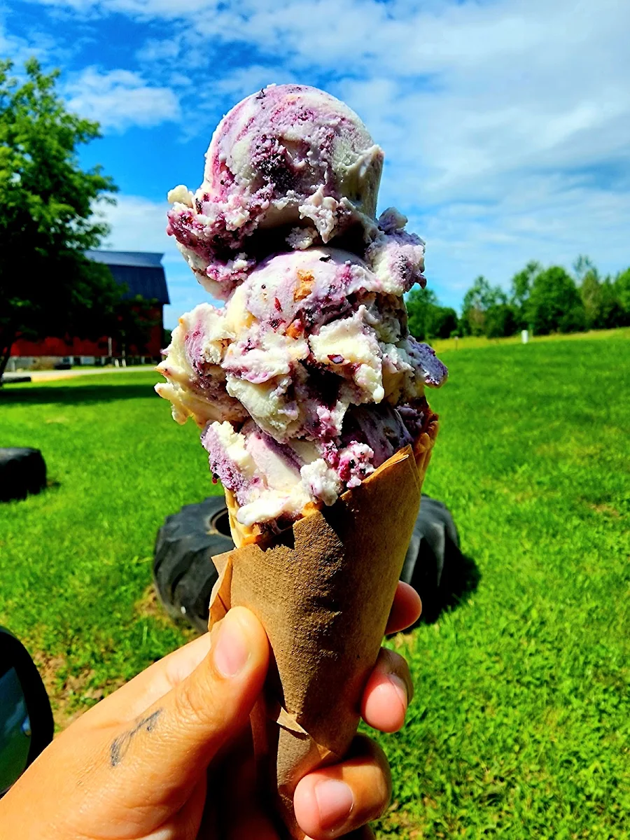 Blueberry Waffle Cone