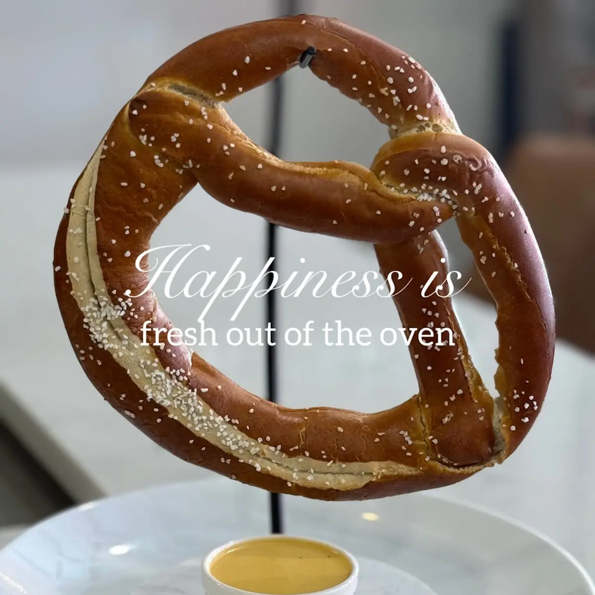 Bavarian Pretzel