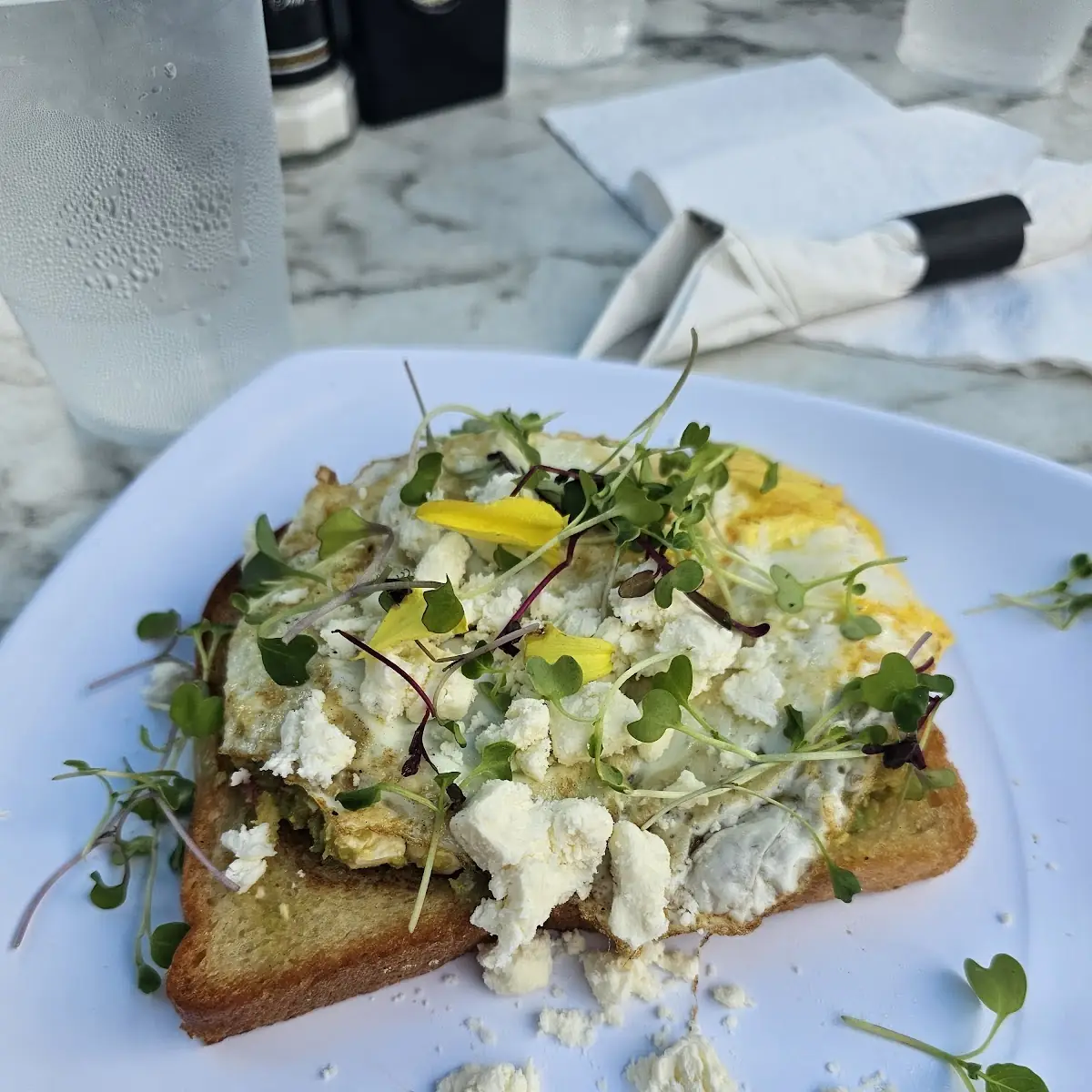 Loaded AVO on toast