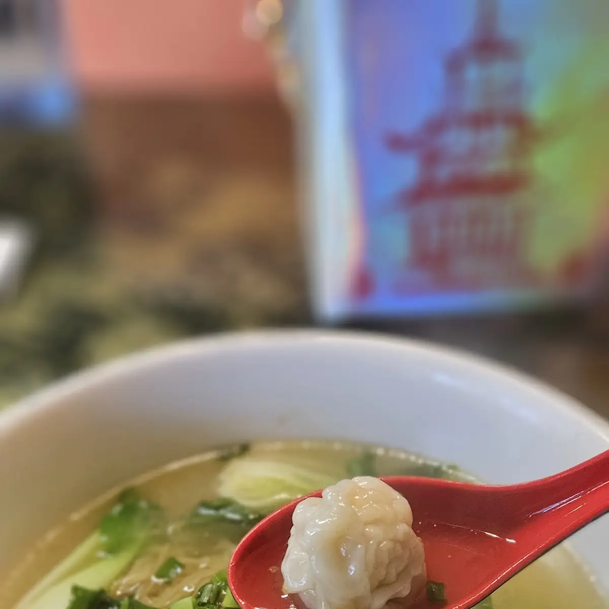 Wonton Noodle Soup