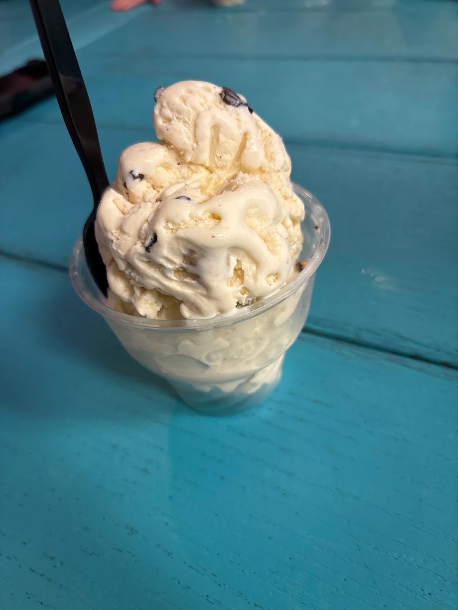 Toasted Coconut Ice Cream