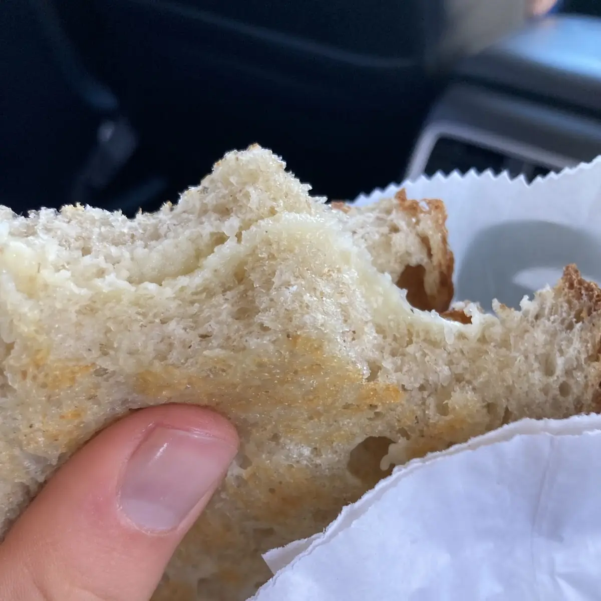 Crispy Grilled Cheese Sandwich