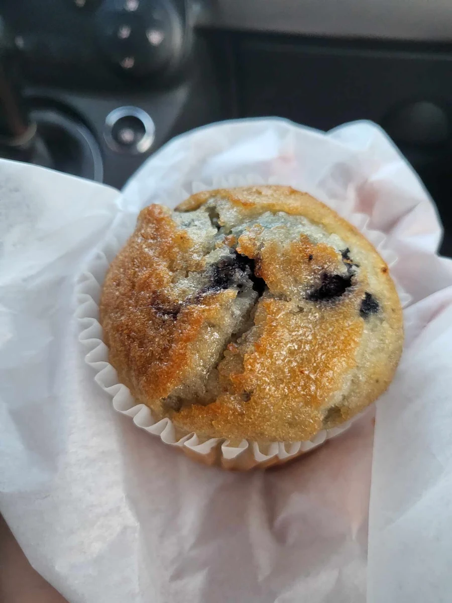 Blueberry Muffin