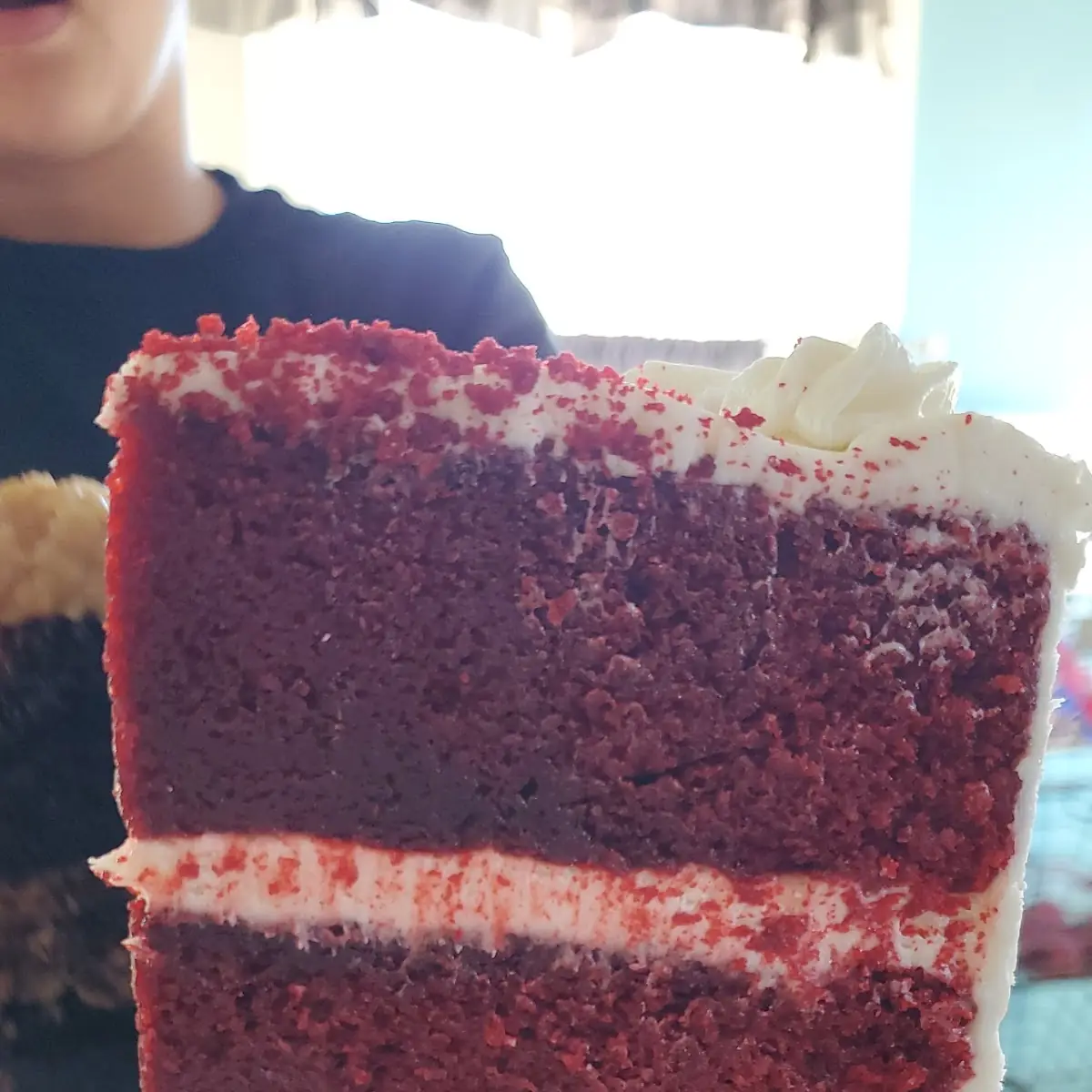 Cheesecake Slice