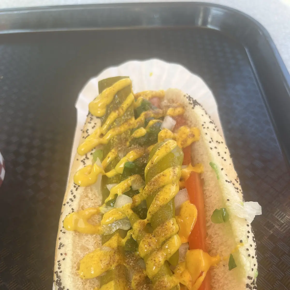 Chicago Style Hot Dog