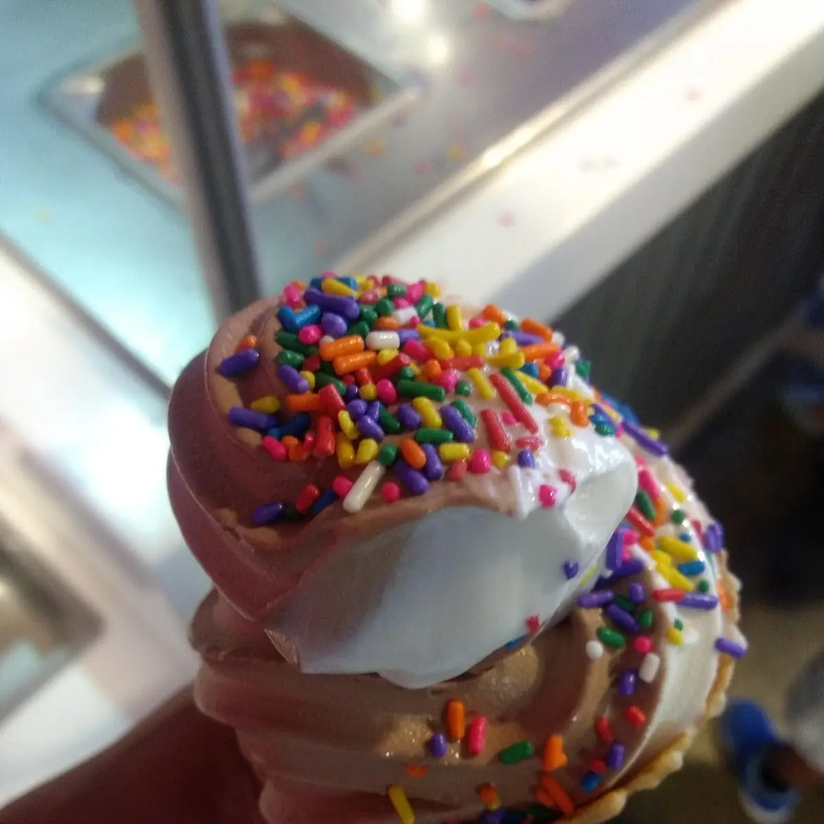 Chocolate and Vanilla Ice Cream