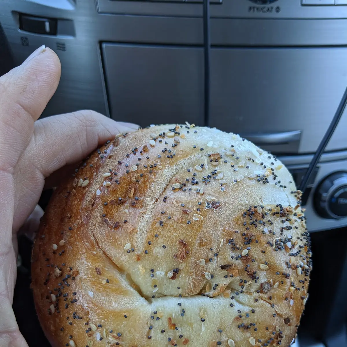 Everything Bagel