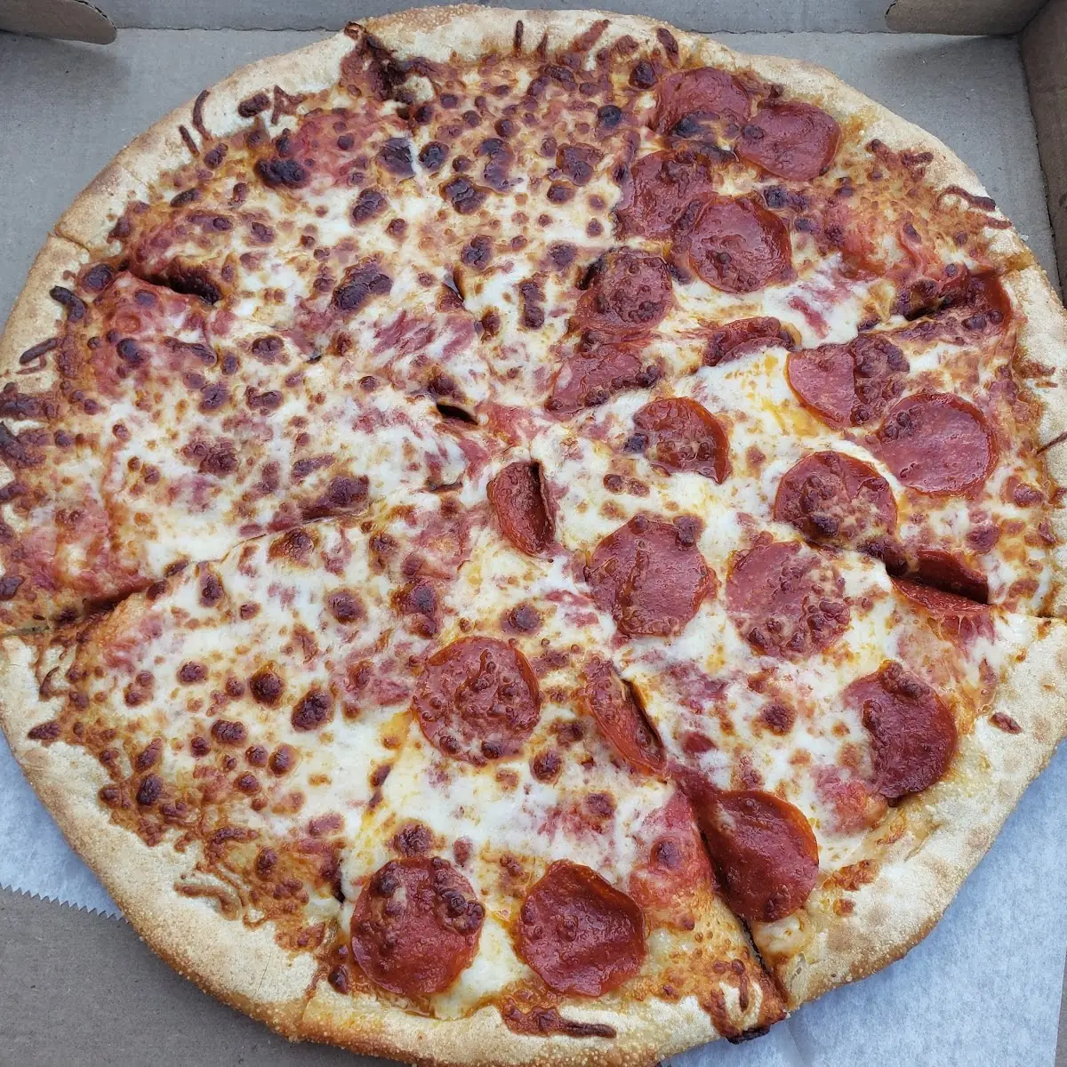 Half Pepperoni Pizza