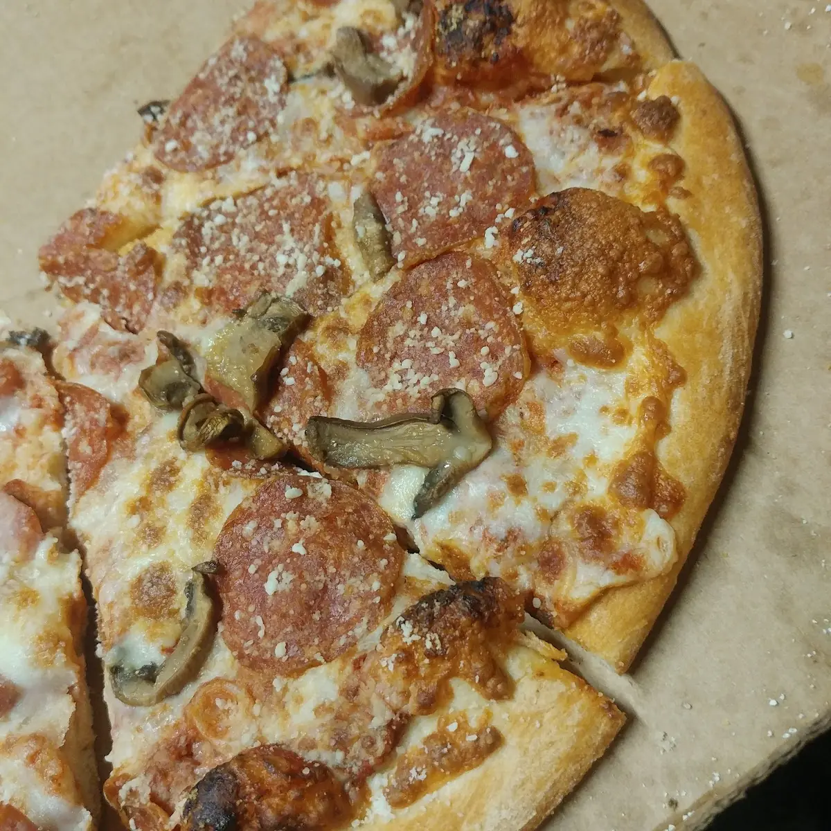 Pepperoni and Mushroom Pizza