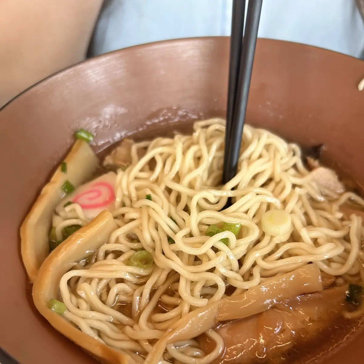 Shoyu Chicken