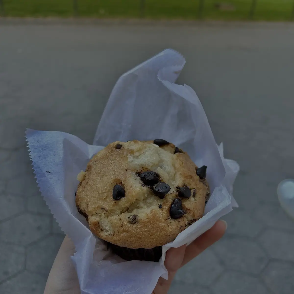 Blueberry Muffin
