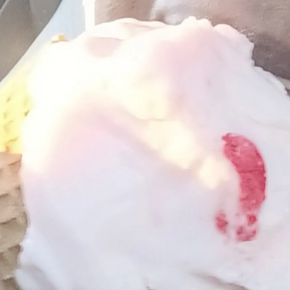 Cotton Candy