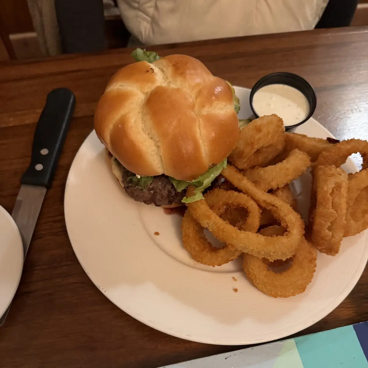 Bison Burger