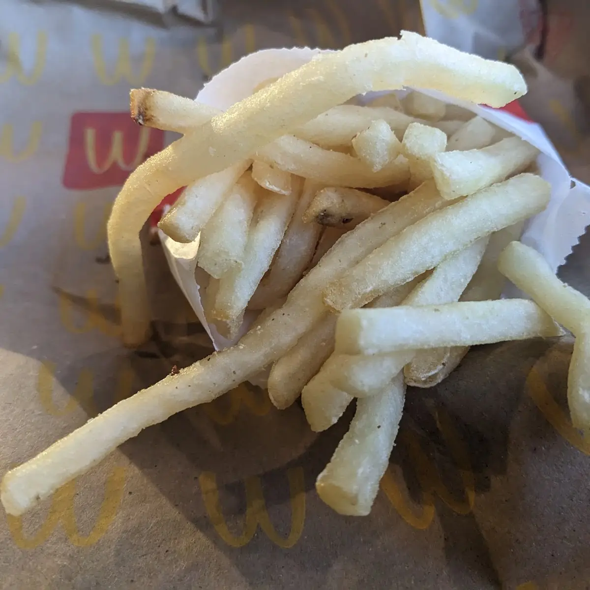 World Famous Fries