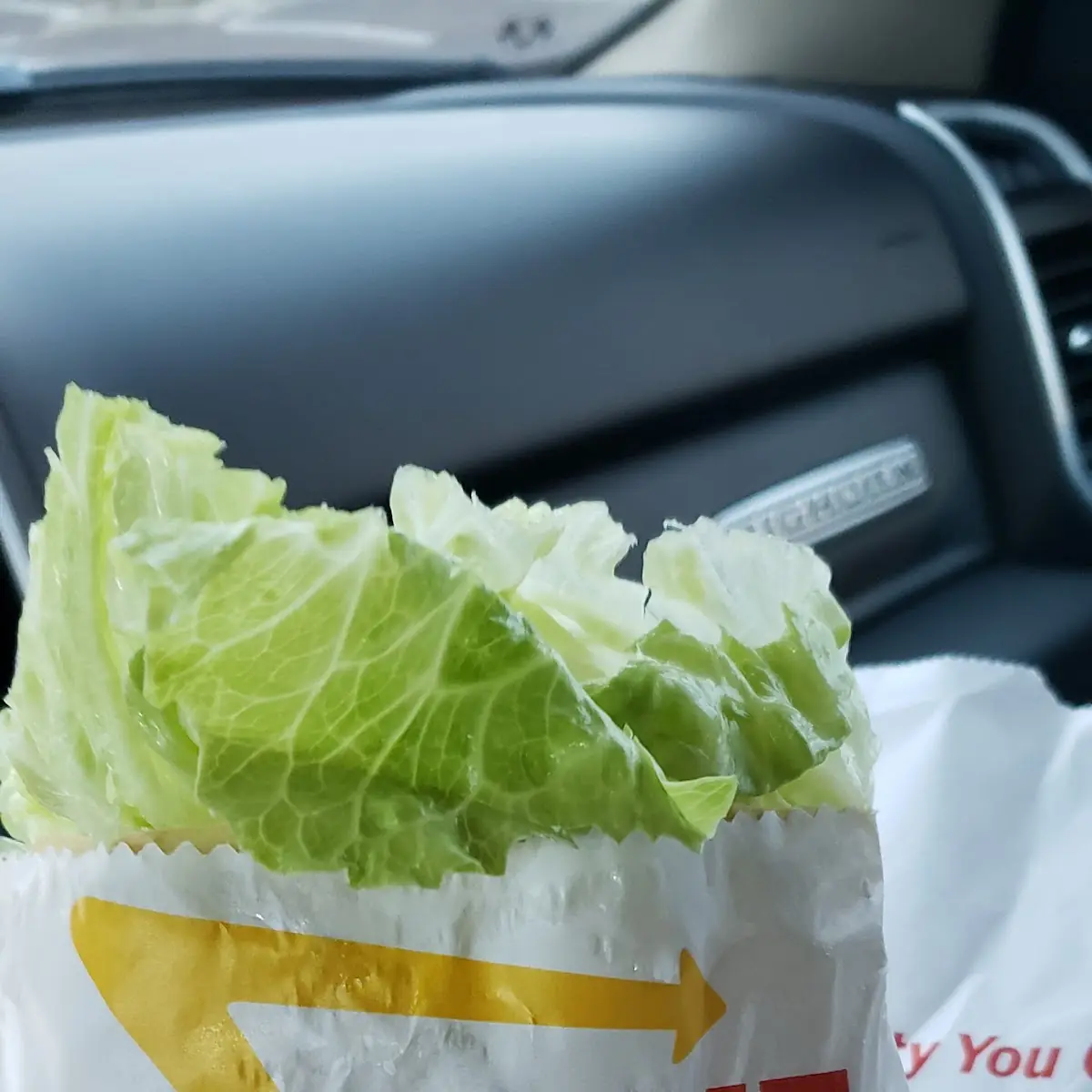 Lettuce Burger