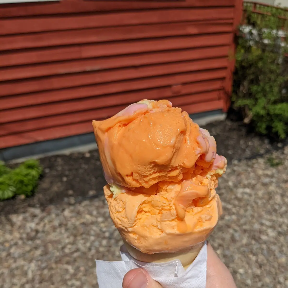Rainbow Sherbet