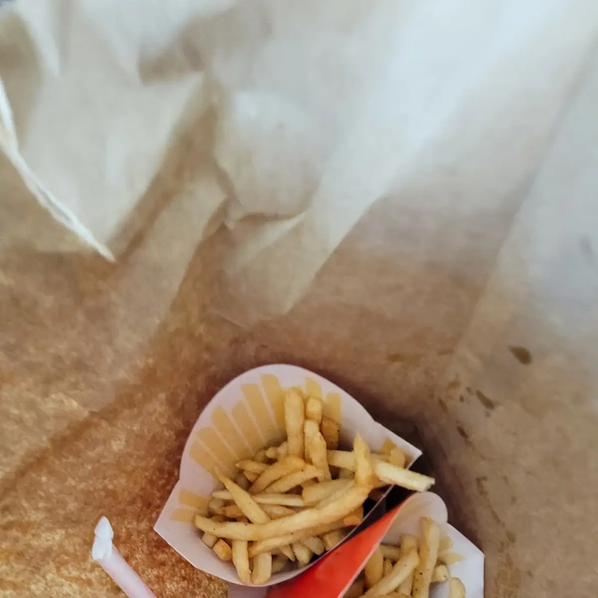 World Famous Fries