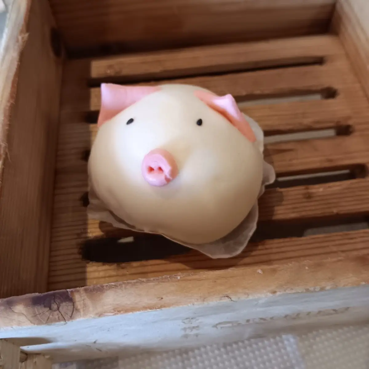 Baby Pig Coconut Milk Pudding