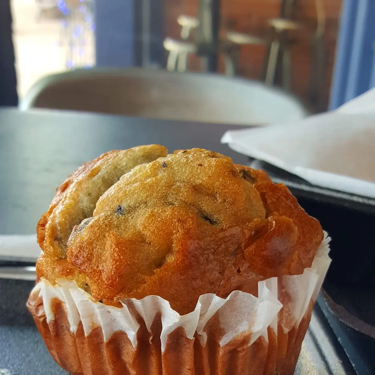 Blueberry Muffin