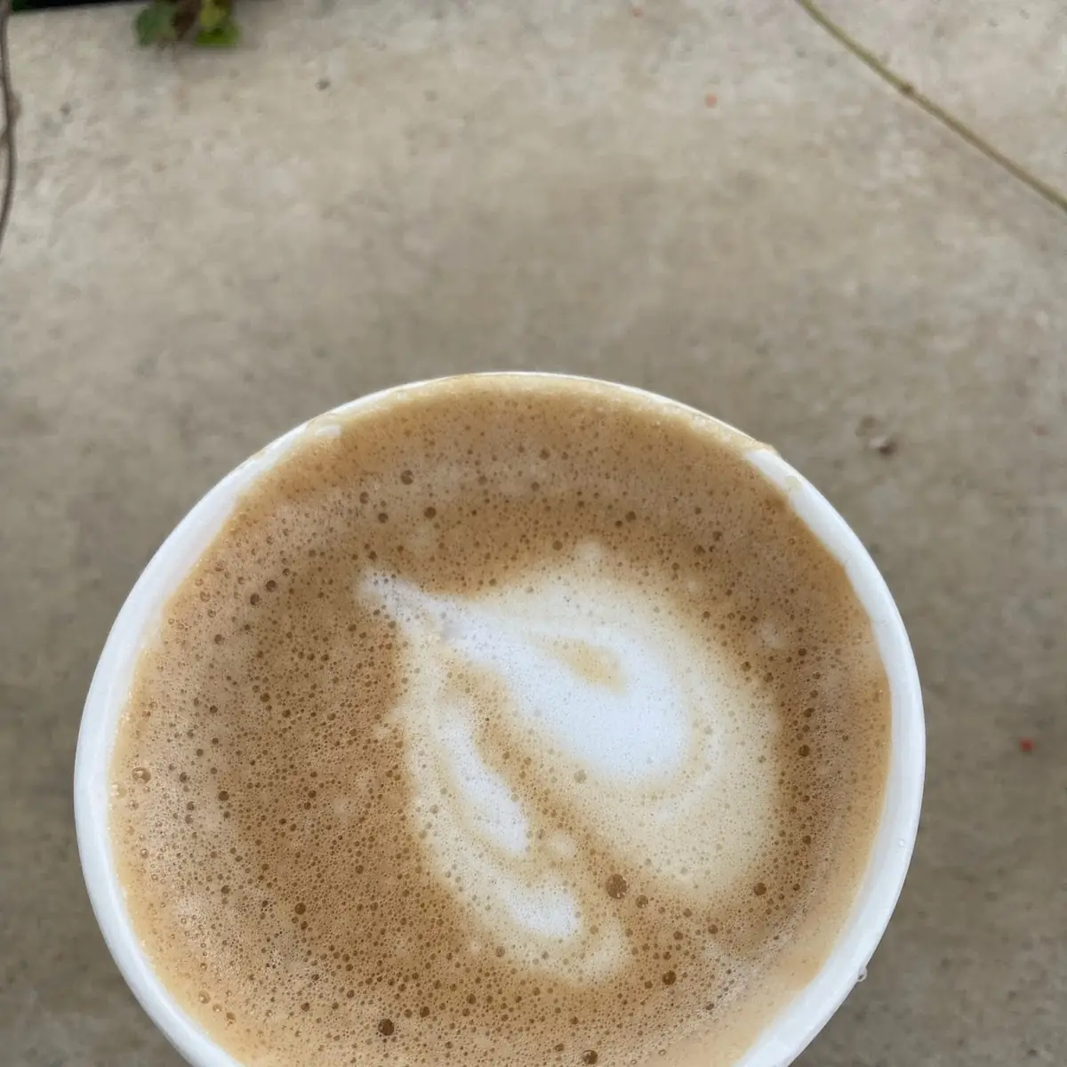 Latte Sugar Free Vanilla