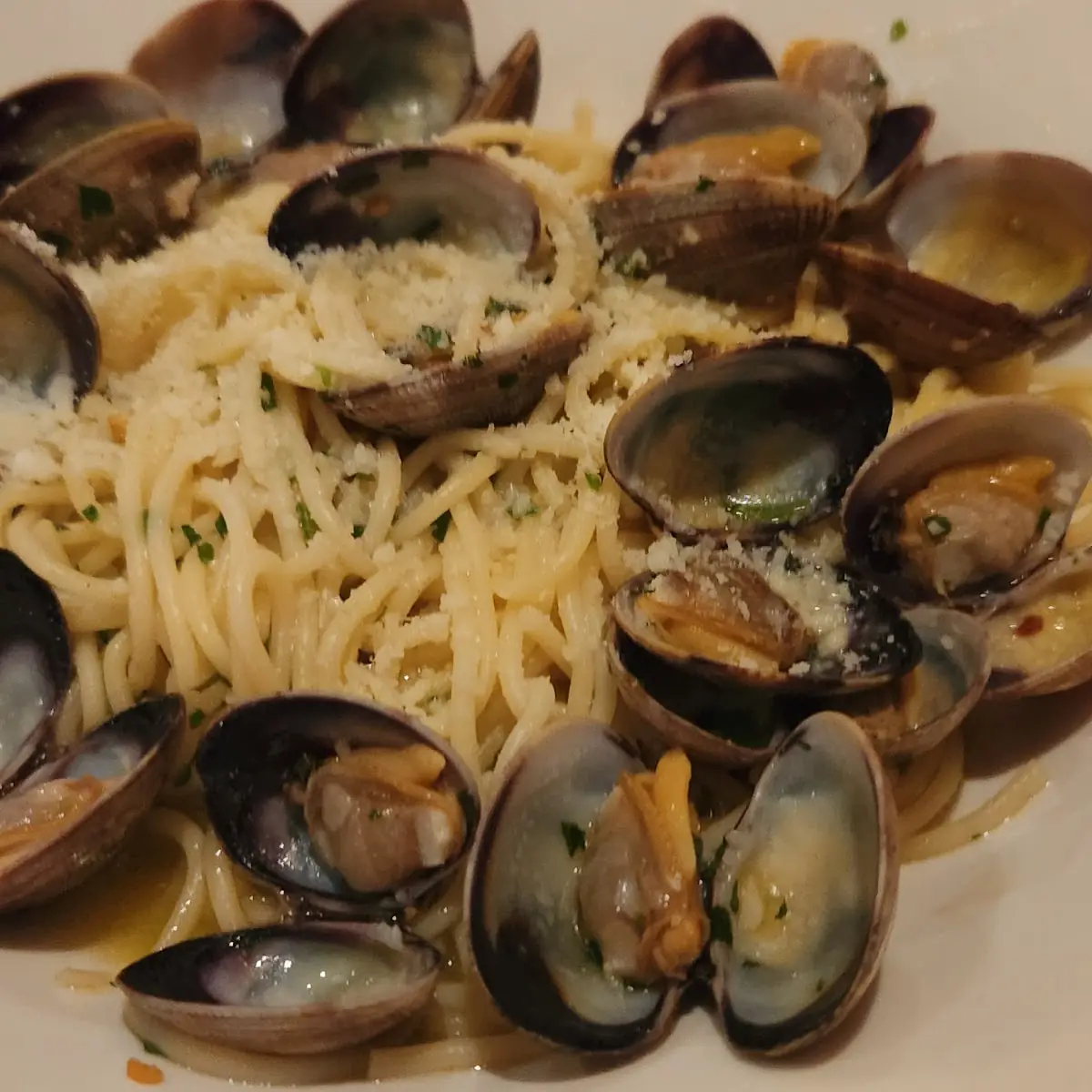 Spaghetti Vongole