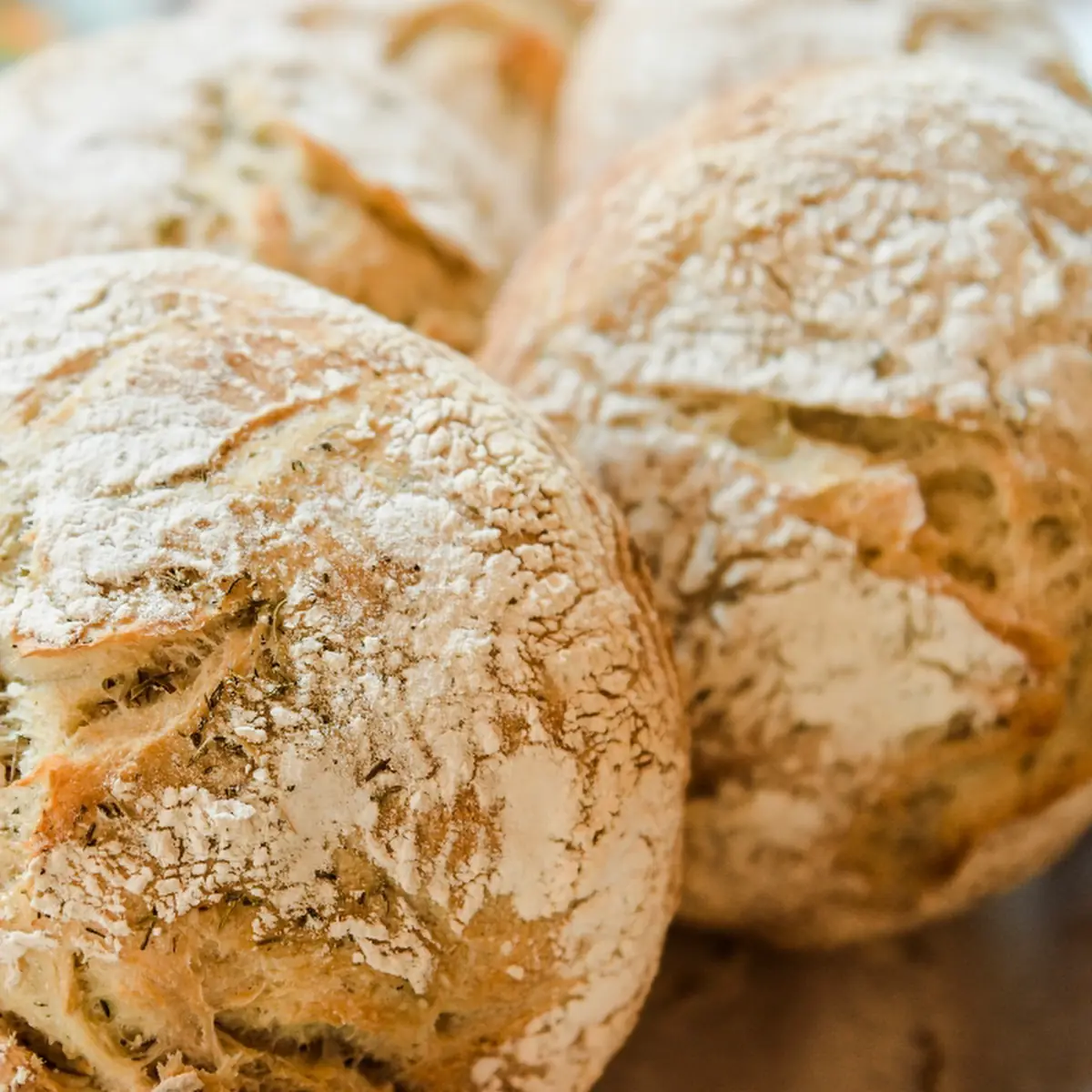 Sourdough Bread