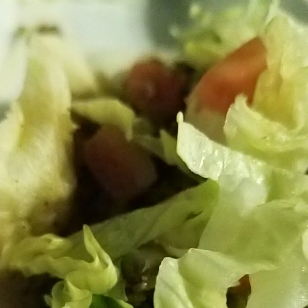 Premium Angus Beef Taco