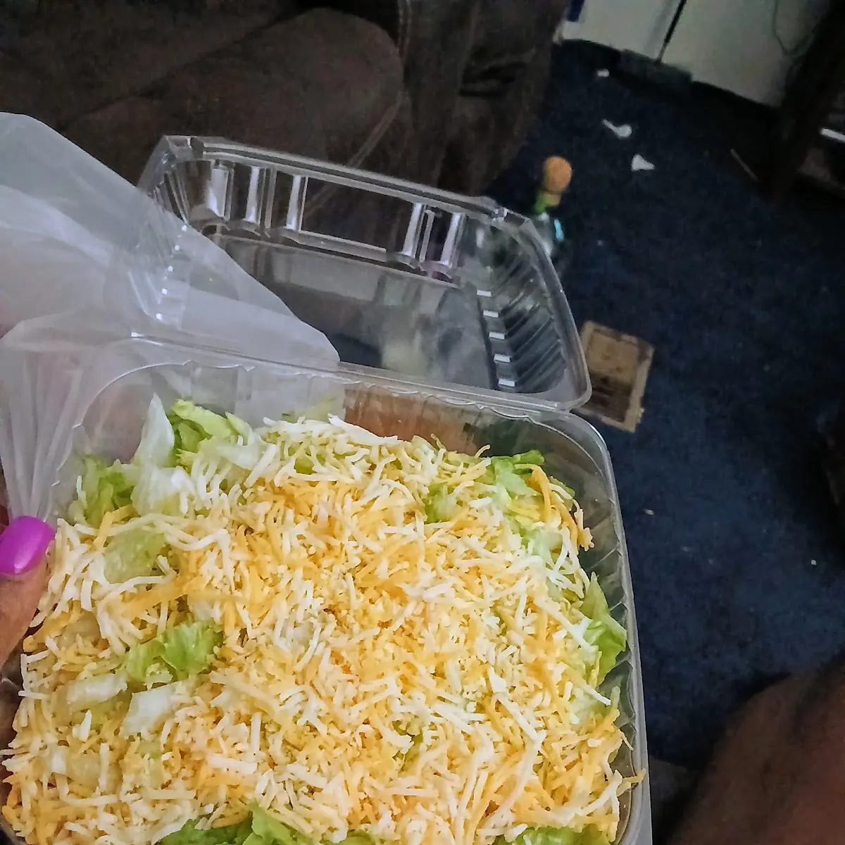 Garden Salad