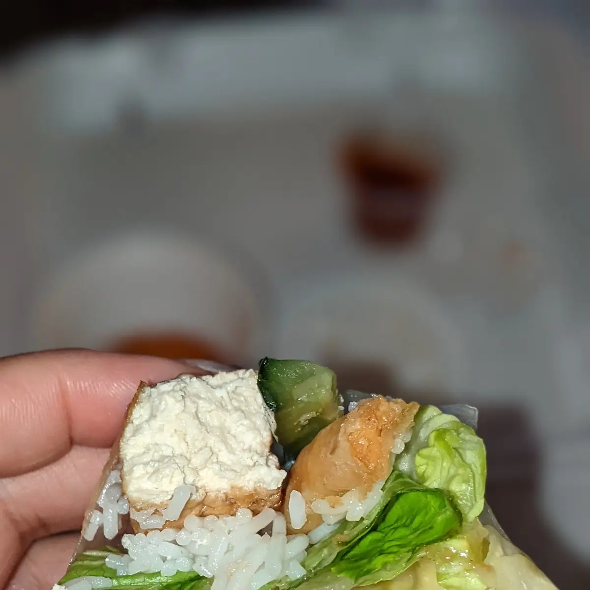 Goi Cuon Chay Veggie Spring Rolls 2
